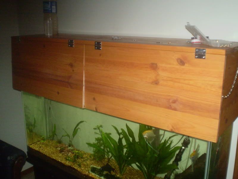 P4150073.jpg