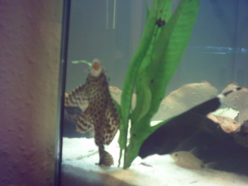 digicam029-1.jpg