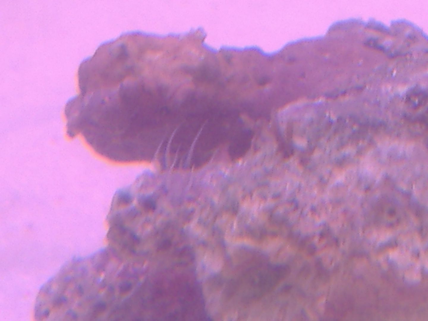 DSCF0382.jpg