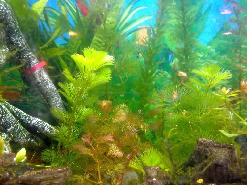 06012012720.jpg