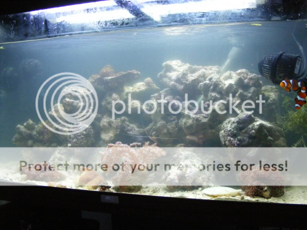 2010_05080004.jpg
