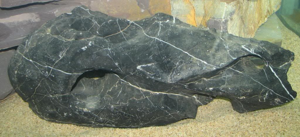 FishTank014.jpg