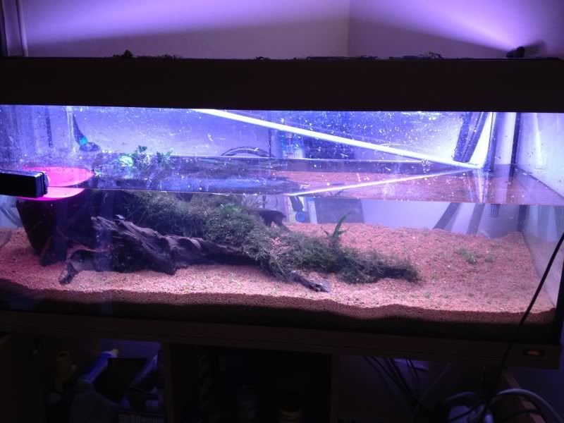 tank048.jpg