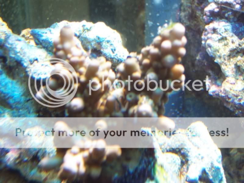 100_5028.jpg