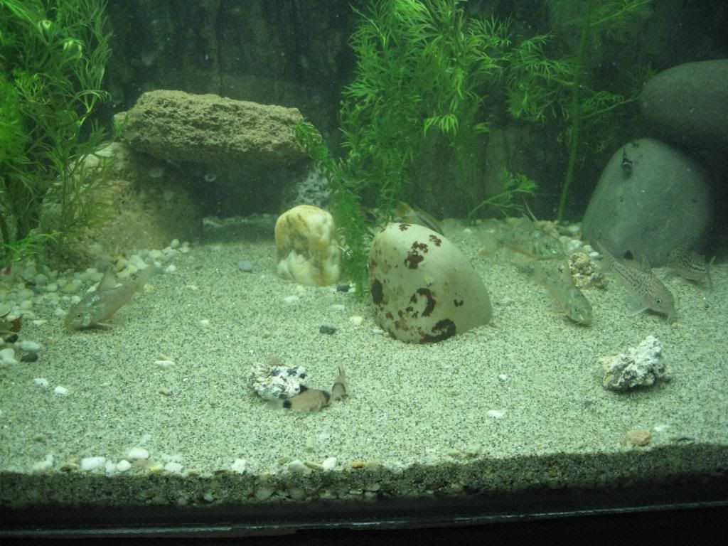 IMG_5459.jpg