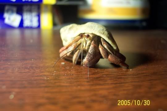 100_3138.jpg