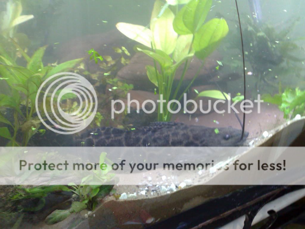 19082009965.jpg