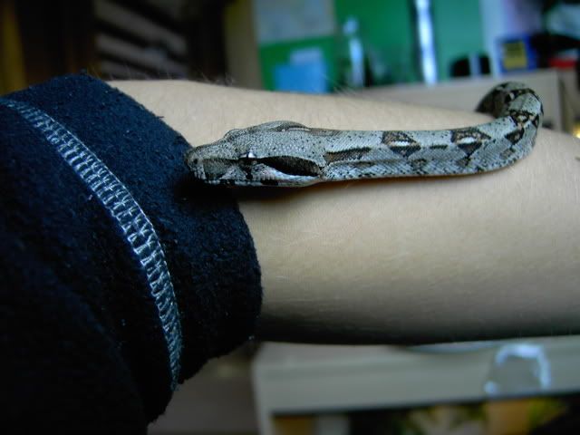 PICT0146.jpg
