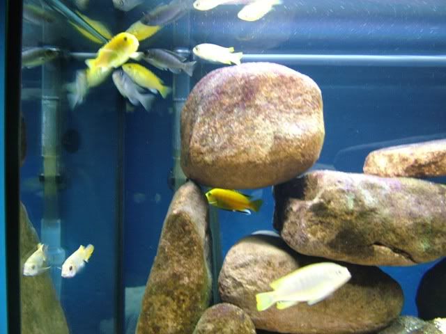 DSCF2809.jpg