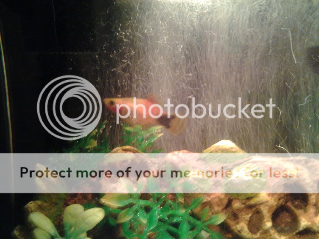 2012-01-25021300.jpg