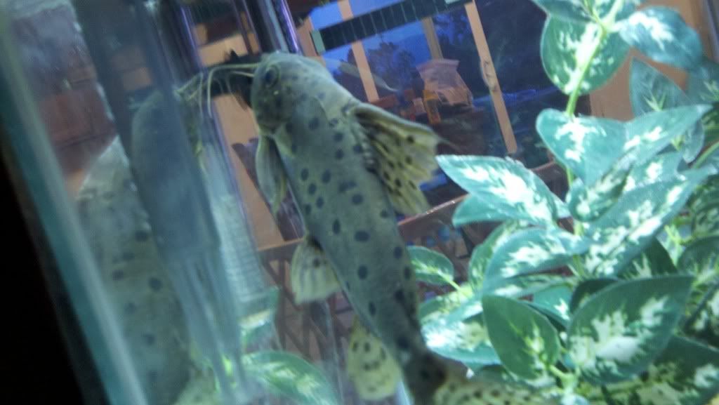 2011-06-19_20-39-04_894.jpg