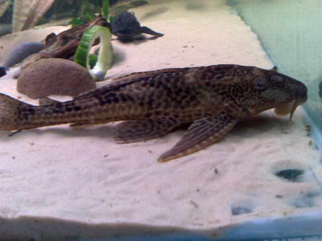16102006215.jpg