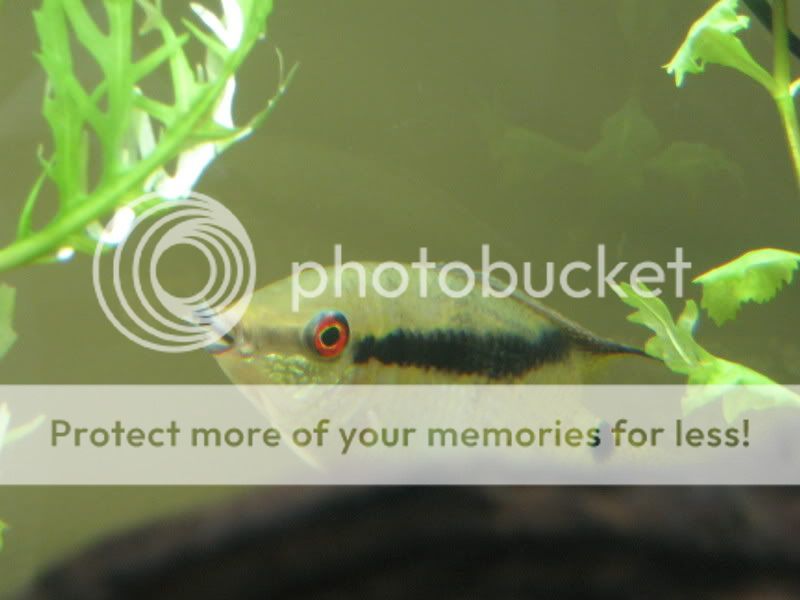 PictureorVideo1096.jpg