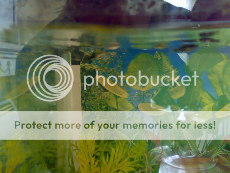 20092007651.jpg