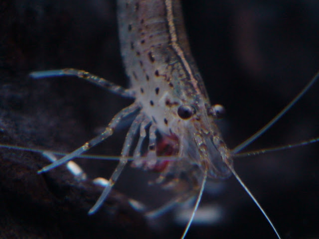 DSC01211.JPG