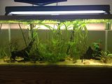 th_null_zps0104f5c4.jpg