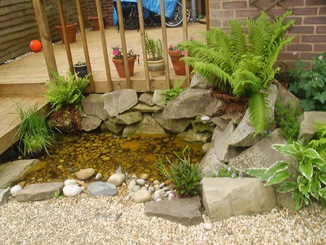 garden010.jpg