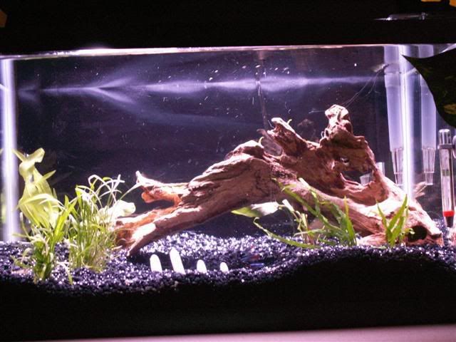 PICT1430Small.jpg