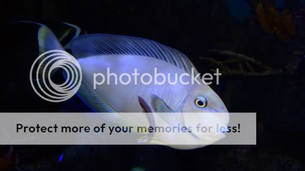 DSCF8828.jpg