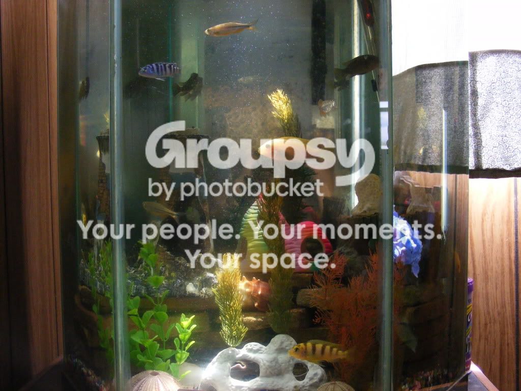 DSCF1491.jpg
