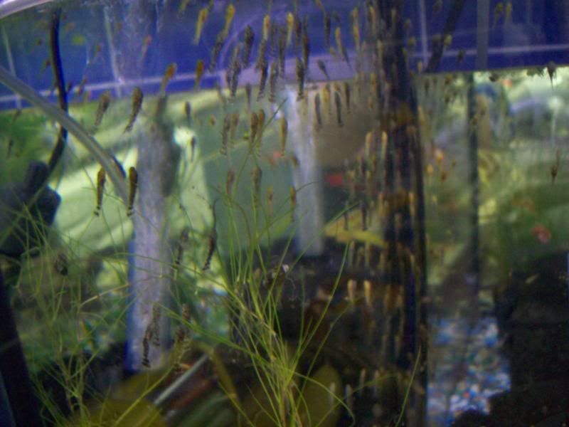 100_0672.jpg