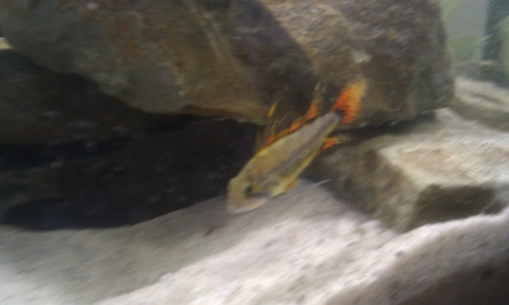 IMAG0122.jpg