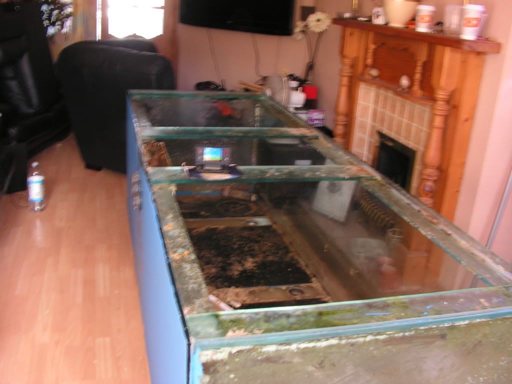 PICT0556.jpg