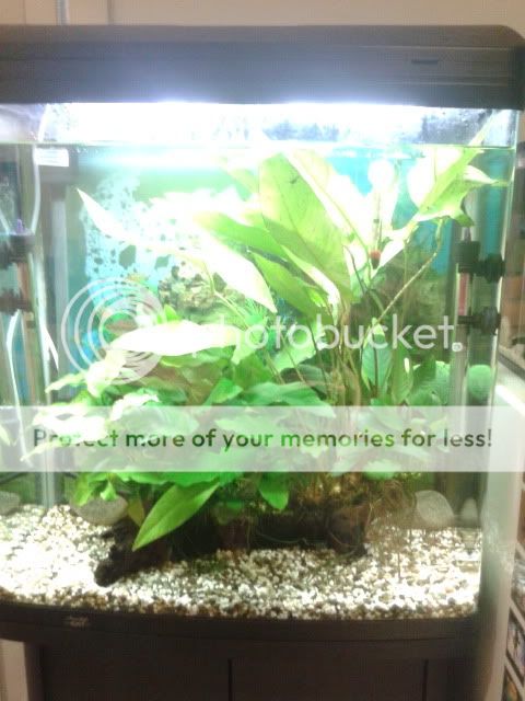 BigTank.jpg