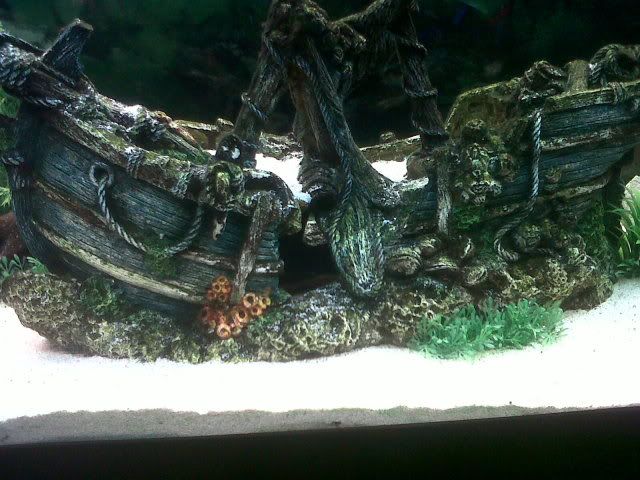 IMG00076-20110413-2257.jpg