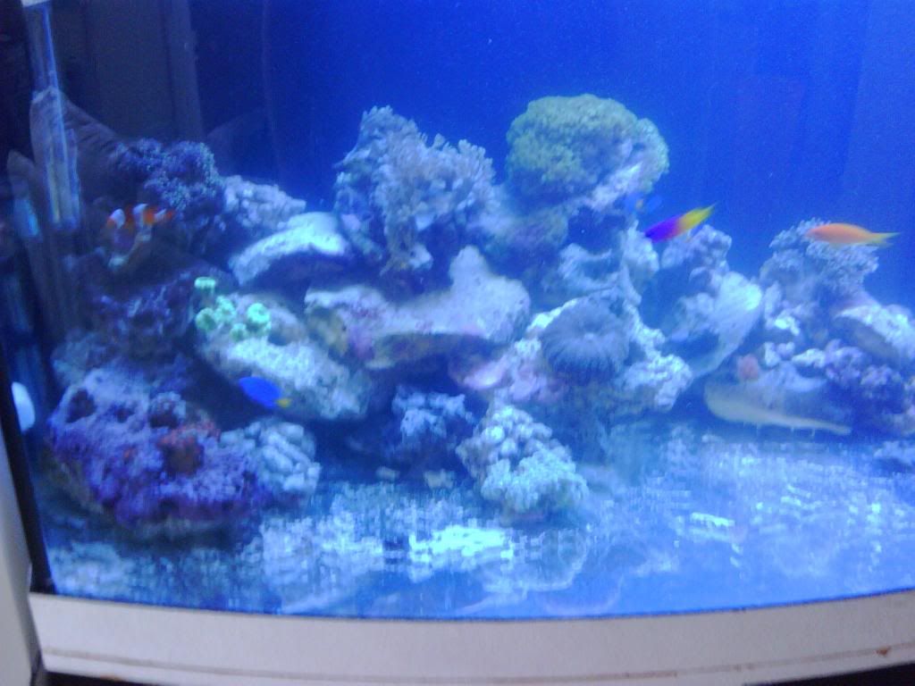 IMG00123-20090420-1604.jpg