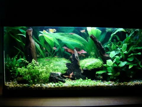 12g16nov.jpg