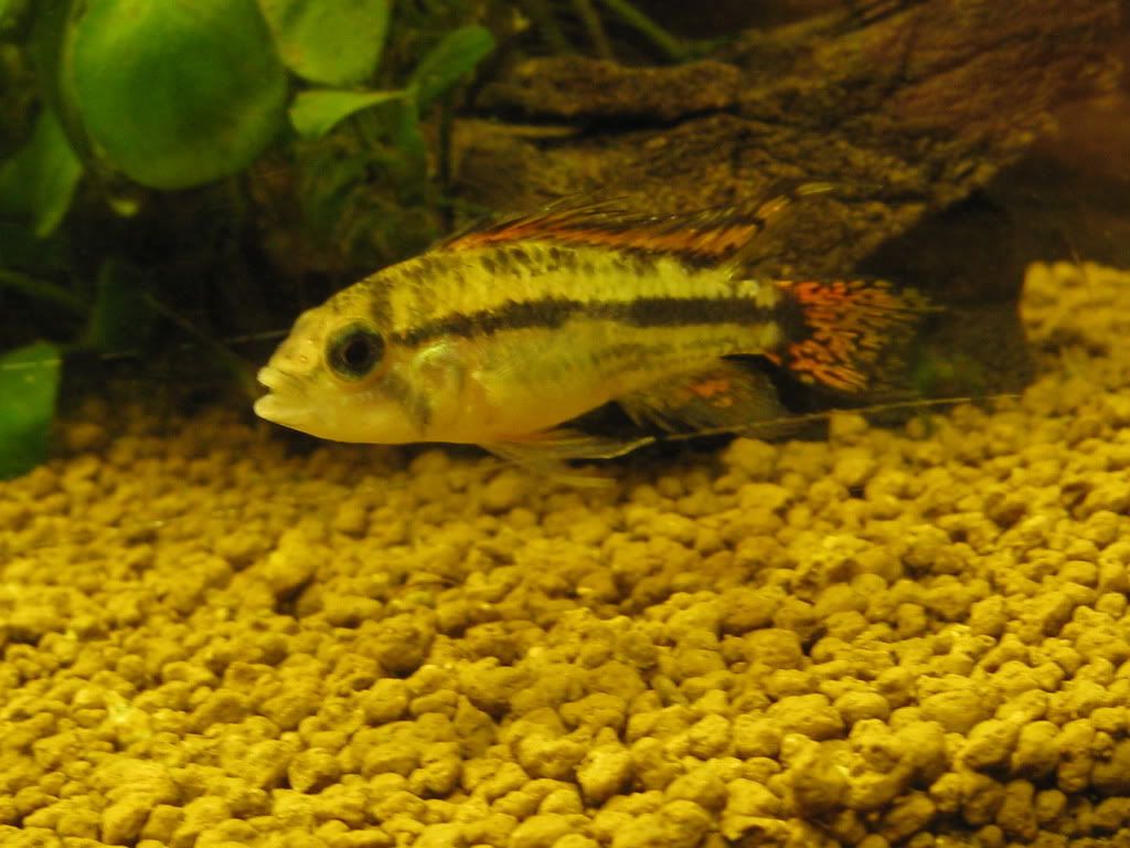 IMG_0994.jpg