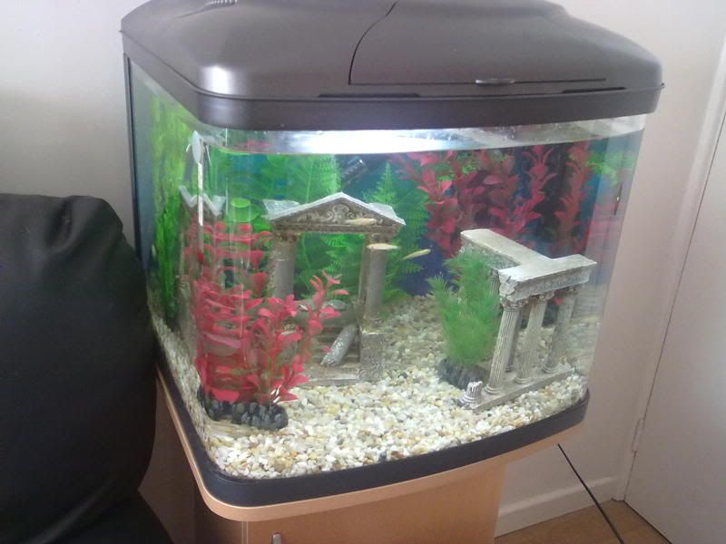 19102010035.jpg