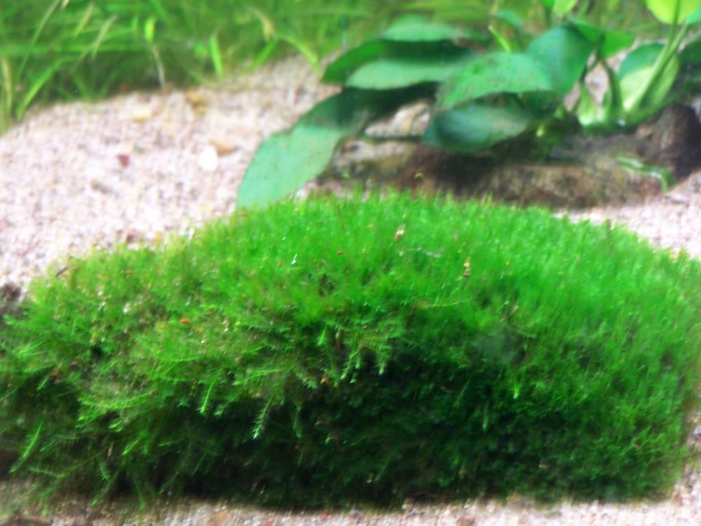 100_5359.jpg