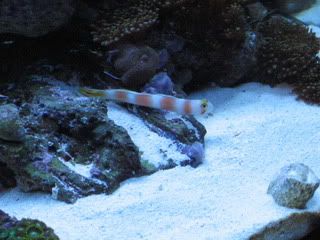 IMG_1870.jpg