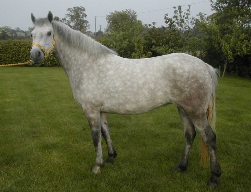 3e20232e.jpg