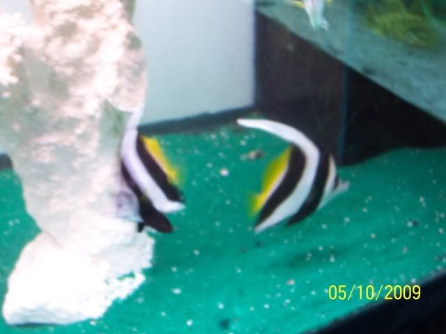 100_6129.jpg