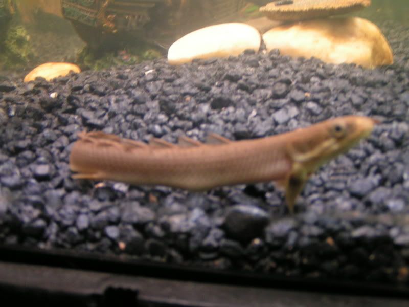 PICT0015.jpg