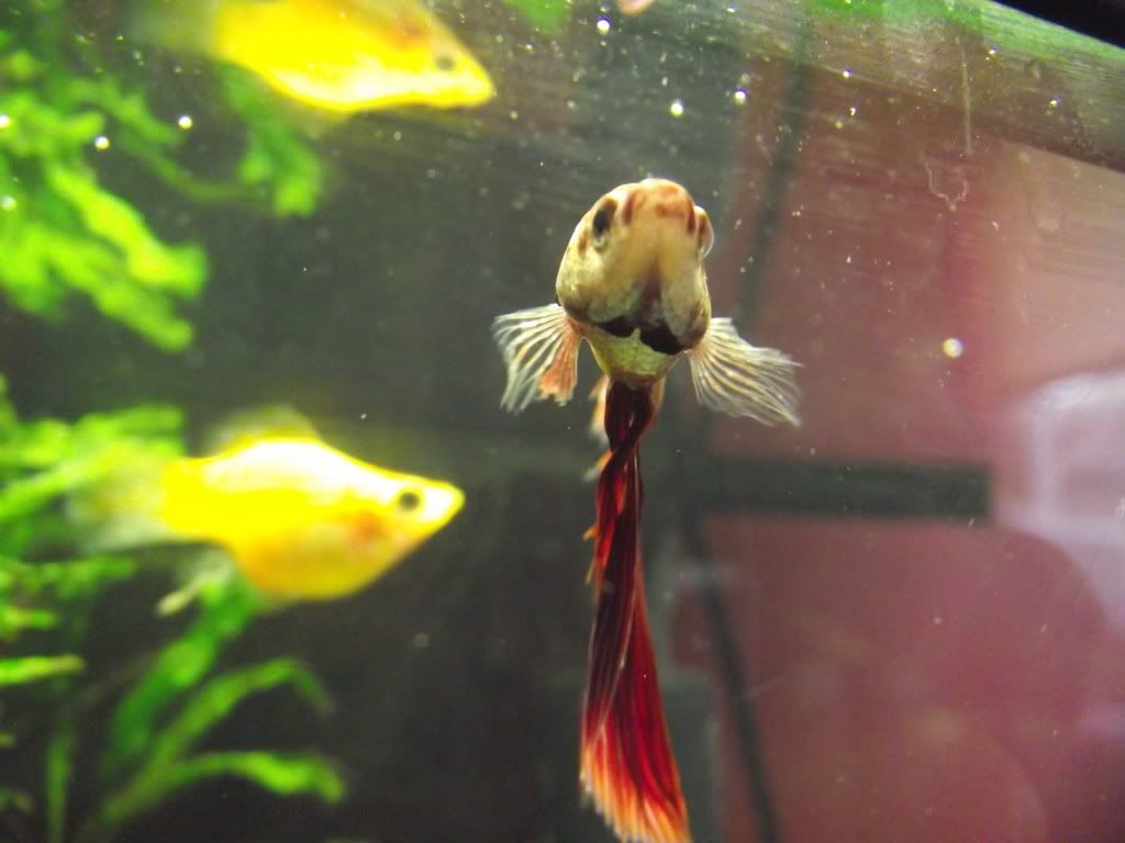 DSCF7581.jpg