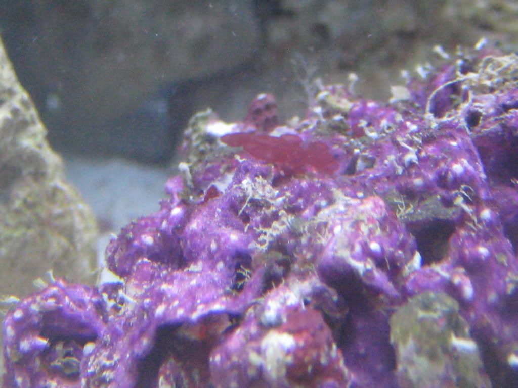 IMG_1471.jpg