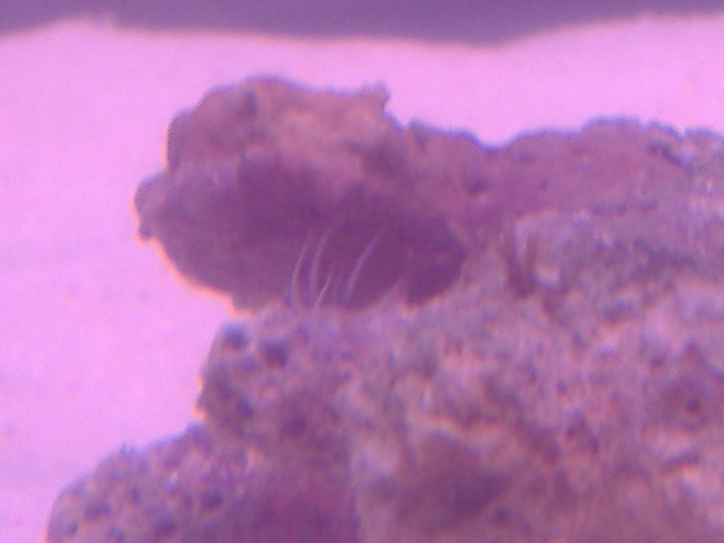 DSCF0381.jpg