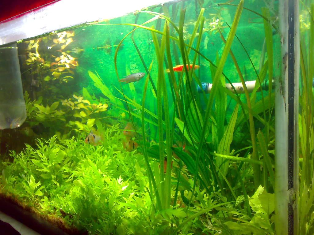 02122008430.jpg