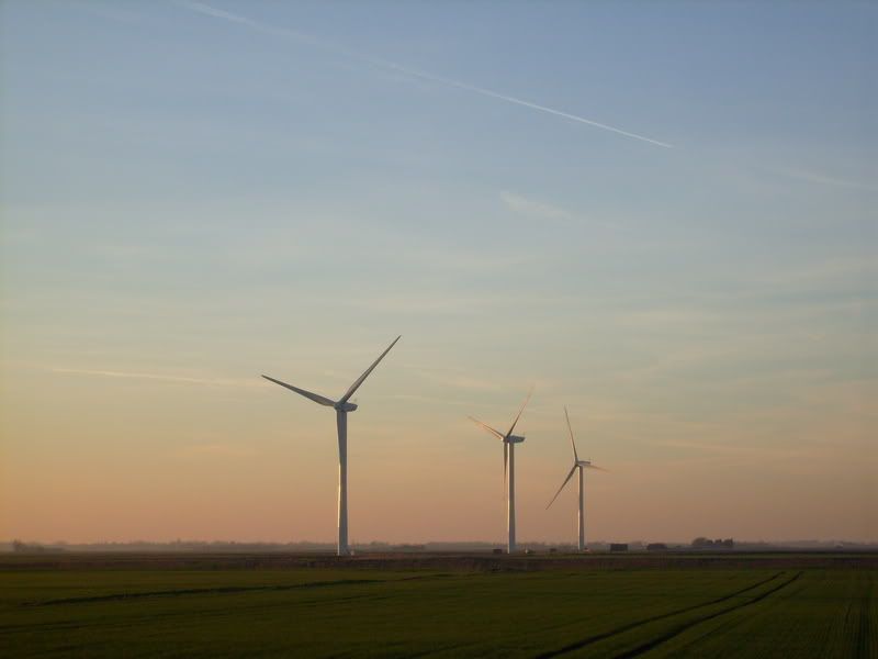S7300185.jpg