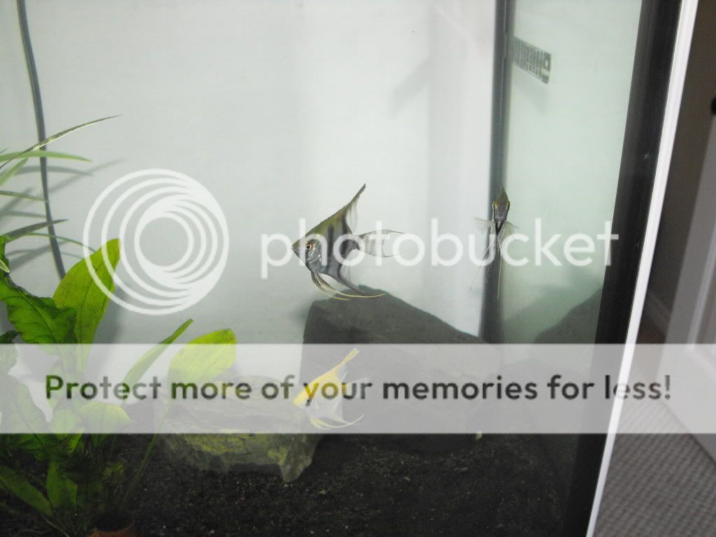 DSCF3576.jpg
