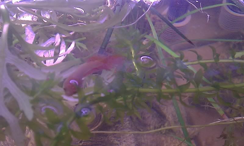IMAG0149.jpg