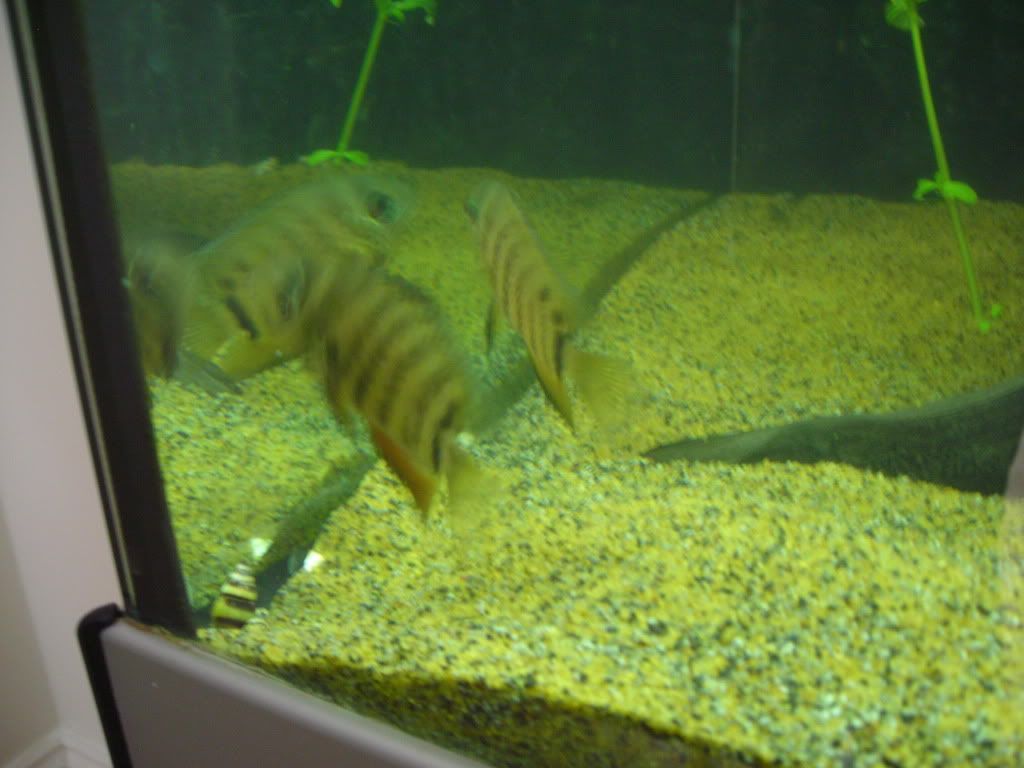 DSCN1736.jpg