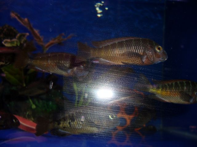 DSC01375.jpg