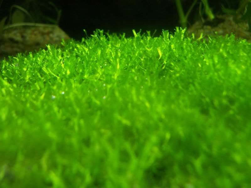 100_1451.jpg