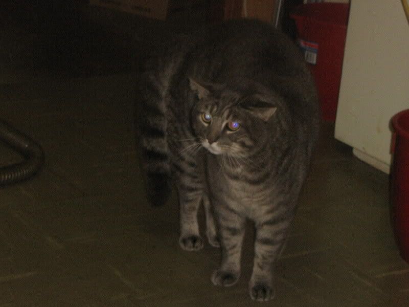 PictureorVideo457.jpg
