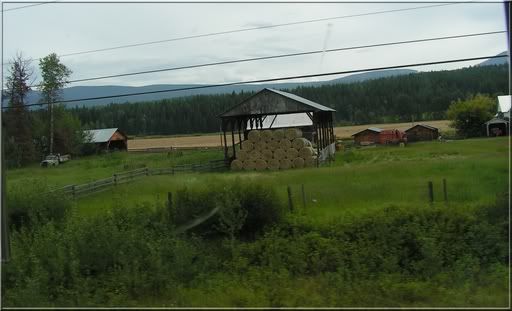 farmland.jpg